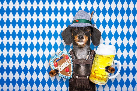 巴伐利亚啤酒做 小狗 吐司 框架 玻璃 狗 马克杯图片