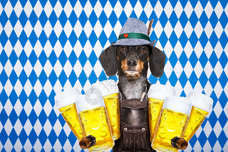 巴伐利亚啤酒做 啤酒节 腊肠犬 动物 传统 帽子 香肠 马克杯图片