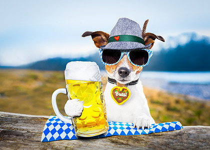 巴伐利亚啤酒做 德国 有趣的 小狗 椒盐卷饼 动物 户外 吐司图片