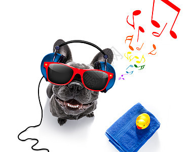 带音乐耳机的狗狗背景图片