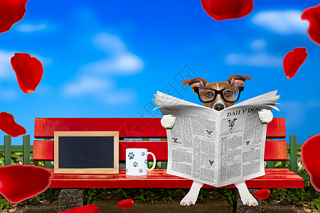 读狗狗阅读报纸 浪漫的 杂志 宠物 生日 爱 有趣的 茶图片