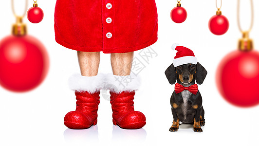 圣诞圣圣卡萨斯狗 快乐的 靴子 诺埃尔 标语牌 圣诞老人图片