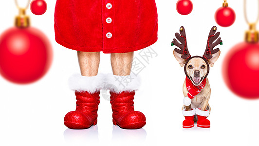 圣诞圣圣卡萨斯狗 冬天 戏服 快乐的 庆典 礼物 靴子图片