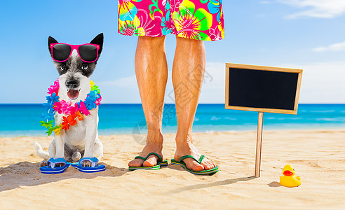 暑假和自养狗人 支撑 晒黑 晴天 眼镜 放松 有趣的 夫妻图片