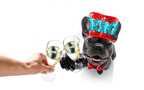 快乐的新年狗圈 服务 夜生活 鸡尾酒 焰火 周年纪念日 惊喜 和平图片