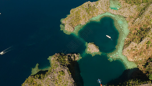 环礁湖和松绿水的海景 热带 海岸 游艇 放松图片