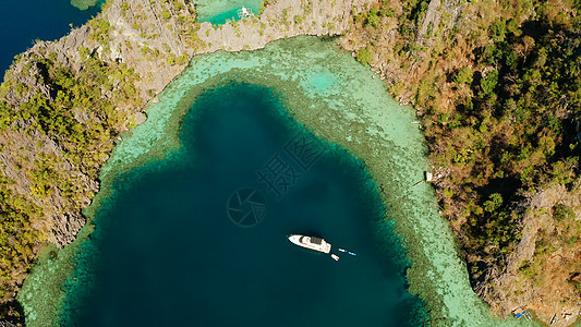 环礁湖和松绿水的海景 海岸 热带绿 热带 海岸线图片