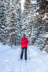 一个穿红色夹克的女孩 冬天在雪林滑雪 游客图片