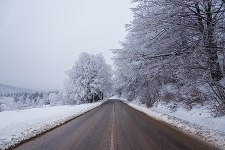 冬季道路 国家通过森林的公路 旅行概念 美丽图片