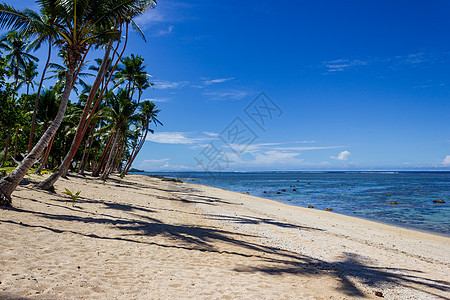 斐济德拉武尼岛热带岛屿上的海滩 清蓝的蓝色水 大溪地背景图片