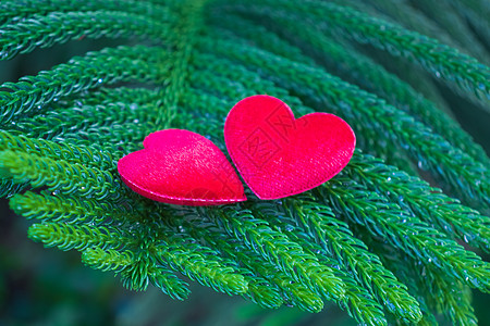 red heartd 在别针上传达爱意 浪漫的图片