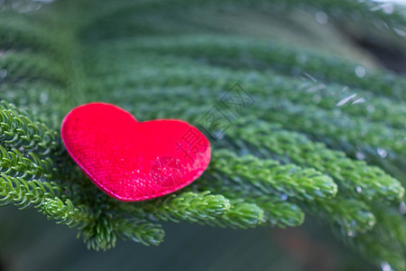 red heartd 在别针上传达爱意 墙纸图片