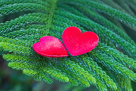 red heartd 在别针上传达爱意 假期图片