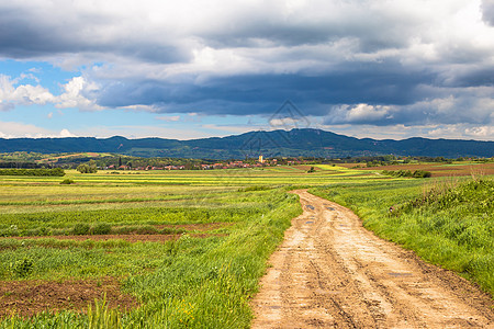 穿过Miholec村Prigorje农业地貌的乡村公路图片