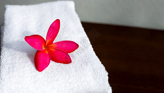 白毛巾上的红梅子 西班牙语治疗概念 美丽 酒店图片