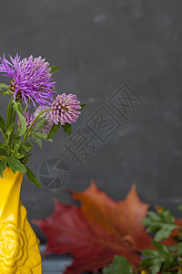 深色背景中黄色花瓶中的一束紫色花朵 问候卡 问候语图片