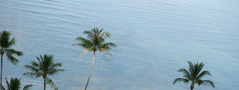 热带椰子棕榈树覆盖蓝海和阳光 空的 风景 夏天图片