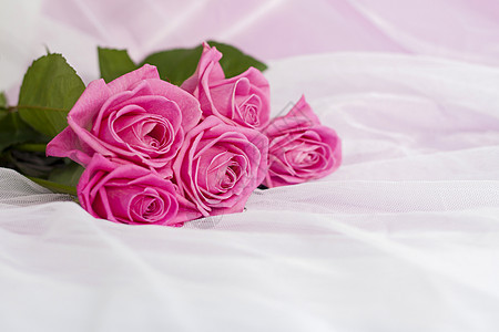 在精致的织物背景上搭配一束粉红玫瑰 节日礼物 柔和的色彩 节日精致的背景 生日 婚礼花束 情人节贺卡 快乐的 装饰风格图片