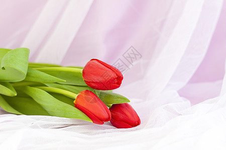 织物粉红色背景上的红色郁金香特写 春天的心情 母亲节或妇女节情人节的春季贺卡 礼物 横幅图片