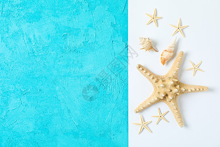 两种色调背景上的海星和贝壳 文本空间和顶视图 暑假背景图片