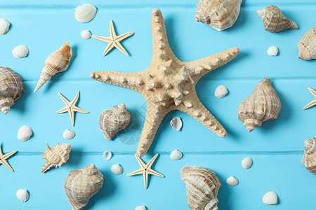 许多海星和贝壳在彩色木制背景 特写和顶视图上 暑假背景 多于 美丽的背景图片