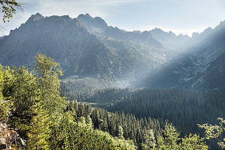 从徒步足迹看塔特拉高山 小路 顶峰 木头 精彩的 斯洛伐克图片