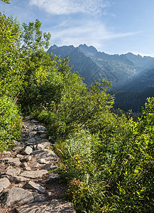 从徒步足迹看塔特拉高山 自然 精彩的 高的 山脉图片