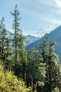 从徒步足迹看塔特拉高山 欧洲 石头 太阳 云 顶峰图片