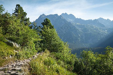 从徒步足迹看塔特拉高山 树 石头 岭 户外 环境图片