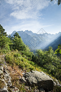 从徒步足迹看塔特拉高山 欧洲 雄伟 山脉 松树 夏天图片