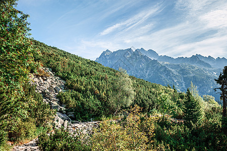 从徒步足迹看塔特拉高山 高地 路线 旅游 岭 森林图片