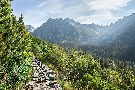 从徒步足迹中看到塔特拉高山 山脉 高的 小路 森林图片