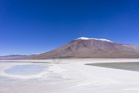 高平湖 玻利维亚 南美洲 拉古纳佛得角 绿湖 自然 假期图片