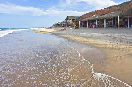 热带海滩观 巴西福塔莱萨 巴西 南美洲 手掌图片
