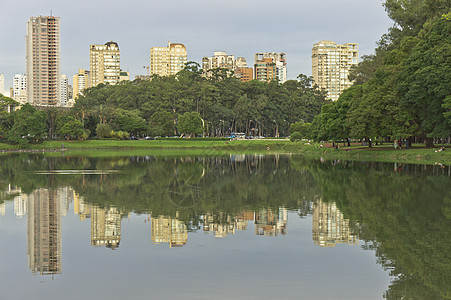 巴西 南美洲伊比拉普埃拉公园圣保罗 旅游景点 天际线图片