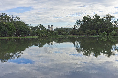 巴西 南美洲伊比拉普埃拉公园圣保罗 湖 城市中心图片