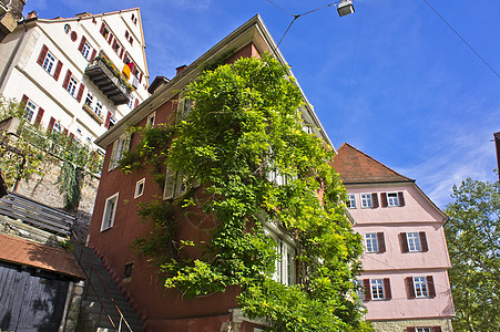 德国旧城街景图宾根 建筑物 巴登-符腾堡州 老房子 地标 欧洲 传统房屋图片
