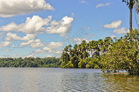 亚马逊流域 桑多瓦尔湖 坦博帕塔国家保护区 秘鲁 南美洲 国家公园 反射图片