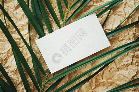 棕色羊皮纸背景和绿色异国情调叶子上的白色名片平铺 奢侈品牌平铺和品牌标识设计模型 空的 宏观图片