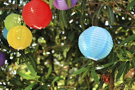挂在树上的彩色圆灯笼 繁荣 照明 烛光 闪耀 节日图片