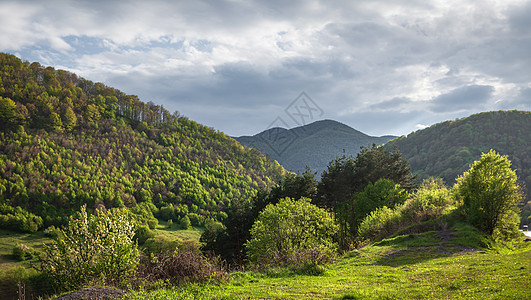 日落的山地风景 花 春天 木头 土地 生态 夏天 场景图片