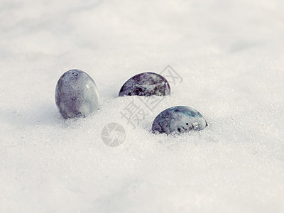 春天春日白雪上涂鸡蛋图片