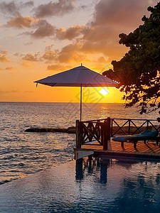 库拉索豪华别墅的休闲夏日海滩 日光浴平台和带棕榈树的私人游泳池靠近海滩并享有全景海景 酒店 岛图片