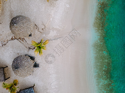 热带热带豪华度假胜地Curacao 配有鲜水海滩和棕榈树 奢侈假期Curacao 放松 太阳图片