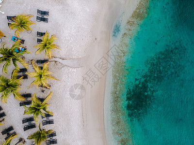 热带热带豪华度假胜地Curacao 配有鲜水海滩和棕榈树 奢侈假期Curacao 旅行 海岸图片