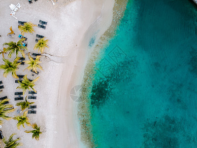 热带热带豪华度假胜地Curacao 配有鲜水海滩和棕榈树 奢侈假期Curacao 威廉斯塔德 加勒比图片