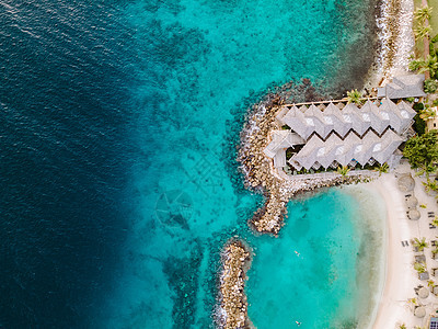 热带热带豪华度假胜地Curacao 配有鲜水海滩和棕榈树 奢侈假期Curacao 旅游 游泳图片