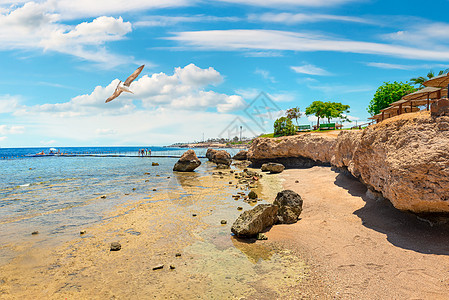 海陆岩礁海岸 放松 闲暇 日落 水 美丽的 夏天 沙姆沙伊赫图片