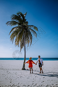 阿鲁巴鹰滩海岸上的棕榈树 大西洋 热带 海滨度假村 海滨图片