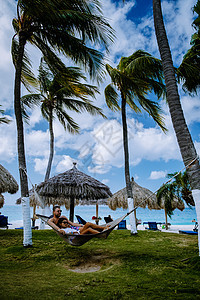 阿鲁巴加勒比哈默克海滩上棕榈树 海岸 热带 自然图片